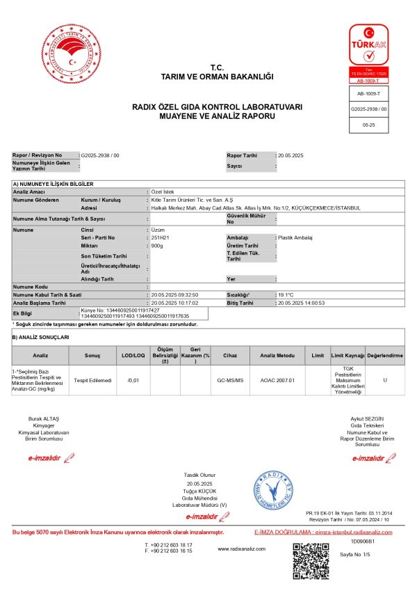 Çekirdeksiz Üzüm (kg) - Görsel 6