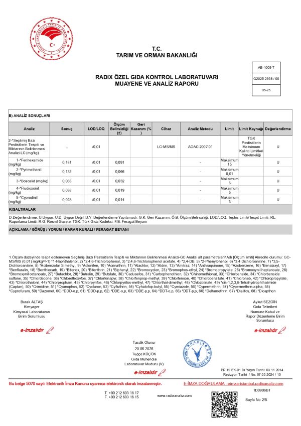 Çekirdeksiz Üzüm (kg) - Görsel 5