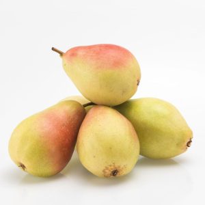 Armut Santa Maria (kg)