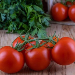 Salkım Domates (kg)