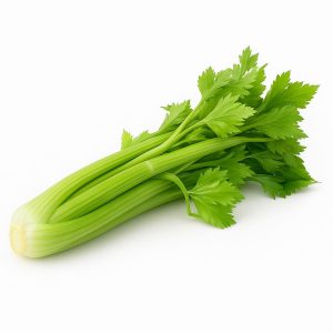 Doğal kereviz sapı