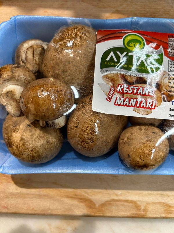 Kestane Mantarı (paket) - Görsel 2