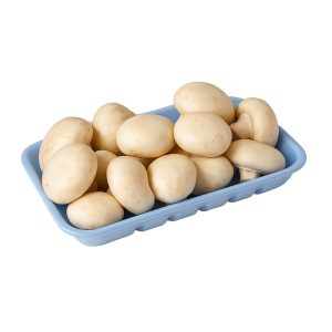 Beyaz renkli, taze kültür mantarları