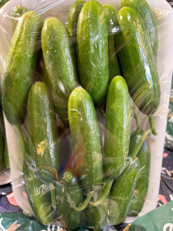 Mini Salatalık Çengel (kg) - Görsel 4