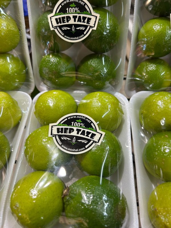 Misket Limon (Lime) (tane) - Görsel 3