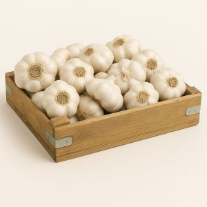 kuru sarımsak başları